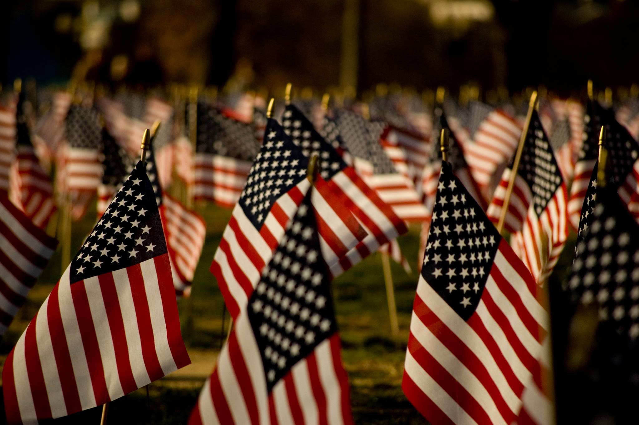 flags